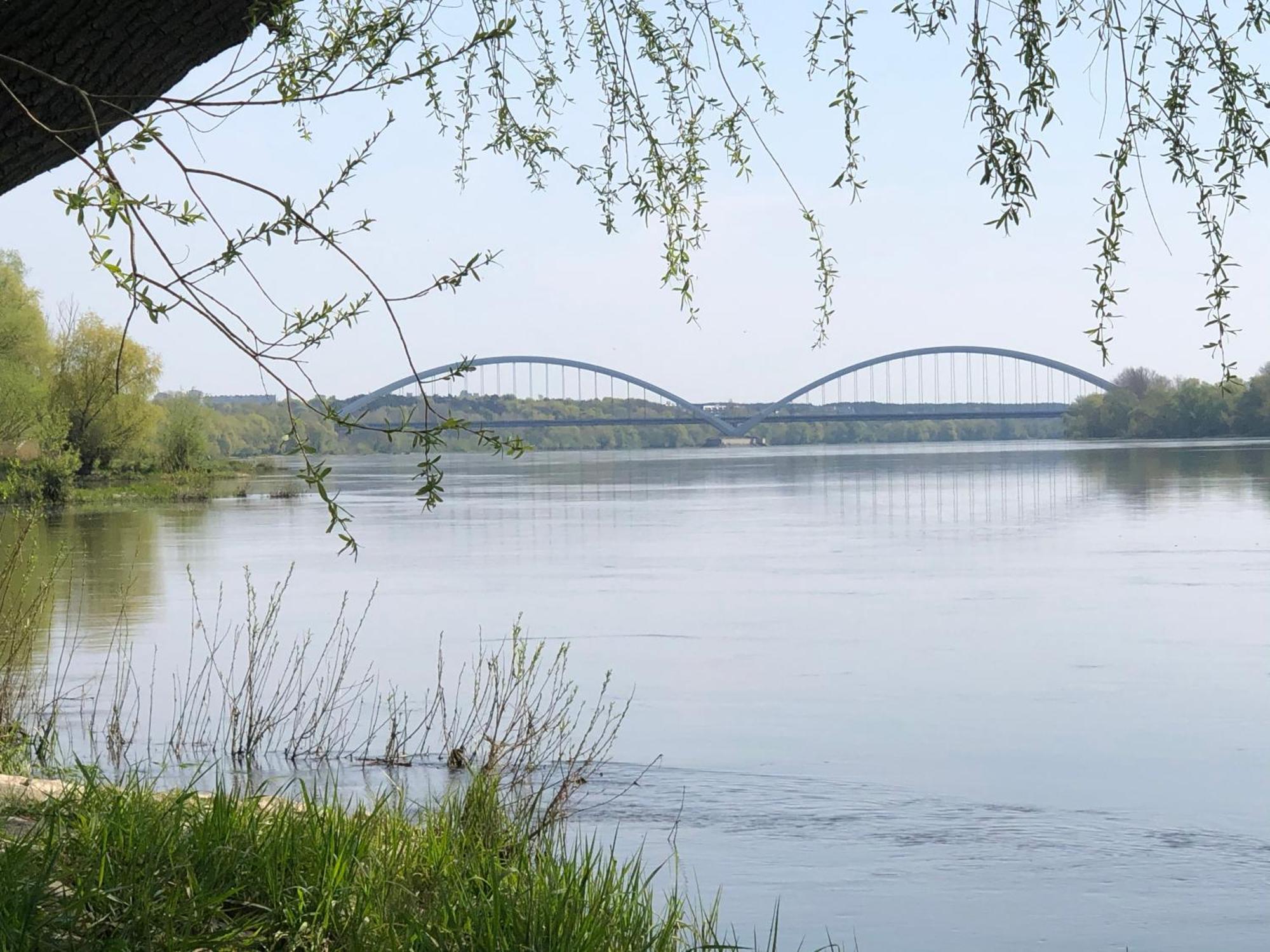 Apartament Kings Stary Toruń